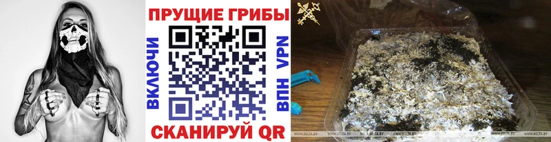 Галлюциногенные грибы ЛСД Жуковский